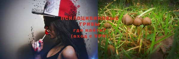 мдпв Киреевск