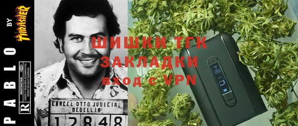 мдпв Киреевск