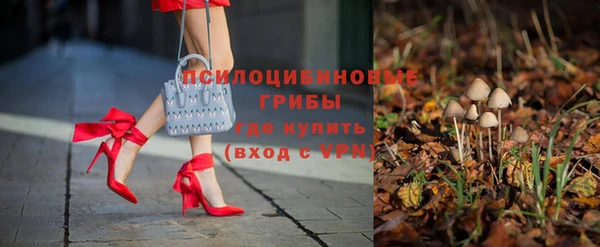 мдпв Киреевск