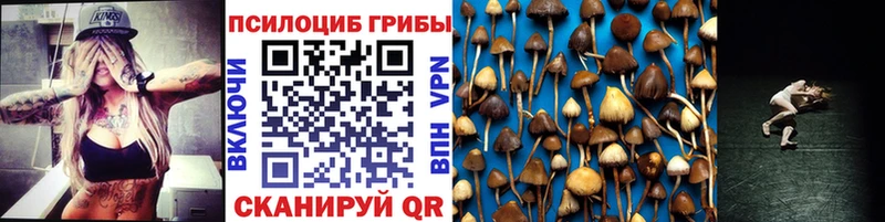 Купить где  Гремячинск  Псилоцибиновые грибы Magic Shrooms 