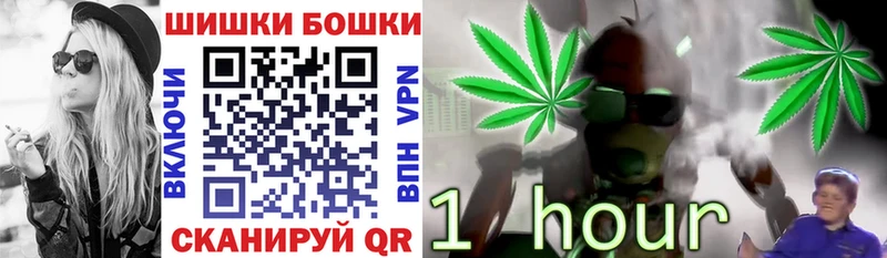 Бошки Шишки семена  Купить где  Гремячинск 